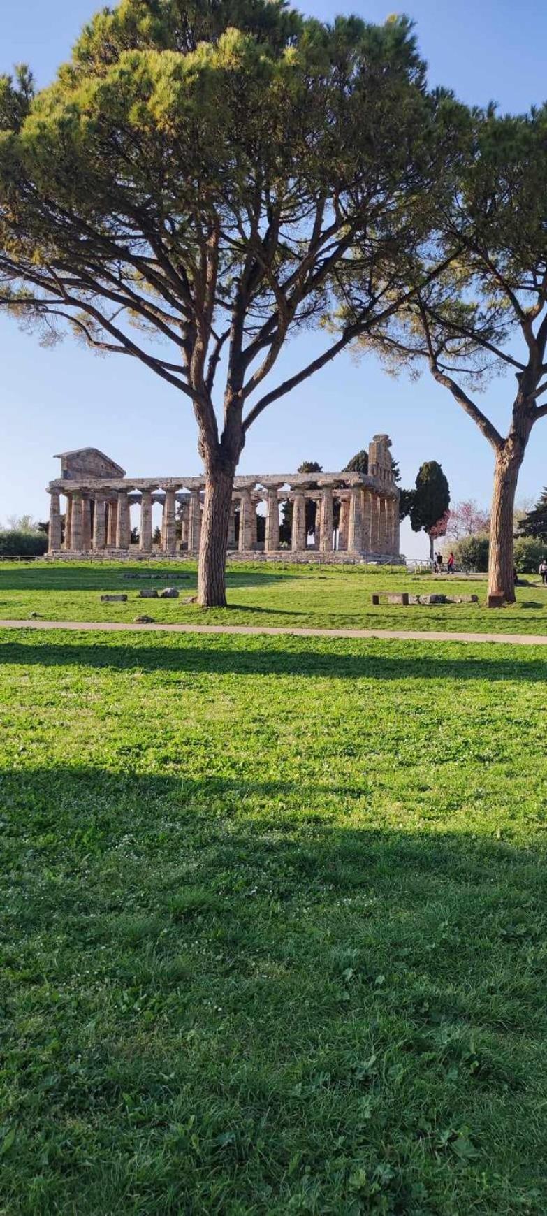 לינה וארוחת בוקר קאפאצ'יו-פאסטום Le Colline Di Paestum מראה חיצוני תמונה